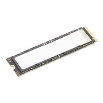 Lenovo - SSD - krypterat - 4 TB - performance - inbyggd -