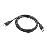 Lenovo - DisplayPort-kabel - DisplayPort (hane) till