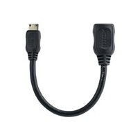 StarTech.com 5in Mini HDMI to HDMI Adapter, 4K High Speed