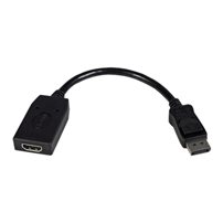 StarTech.com DisplayPort till HDMI-videoadapter - Videokort