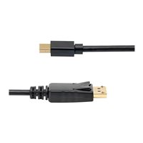 StarTech.com 3 m Mini DisplayPort till DisplayPort