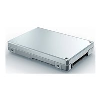 Solidigm D7 Series D7-P5620 - SSD - 3.2 TB - inbyggd - 2.5"