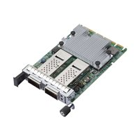 Broadcom NetXtreme E-Series N2100G - Nätverksadapter - PCIe