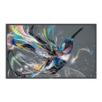 Philips 55BDL3511Q - 55" Diagonal klass (54.6" visbar) -