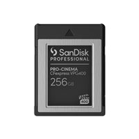 SanDisk Professional - Flash-minneskort - 256 GB -