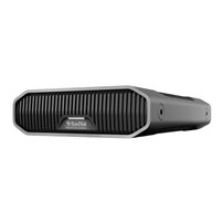 SanDisk Professional - Hårddisk - Enterprise - 12 TB -