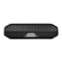 SanDisk Professional - Hårddisk - Enterprise - 6 TB -