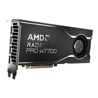 AMD Radeon Pro W7700 - Grafikkort - Radeon Pro W7700 - 16