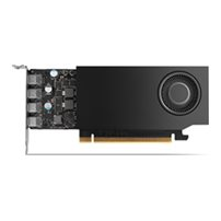 NVIDIA RTX A1000 - Grafikkort - RTX A1000 - 8 GB GDDR6 -