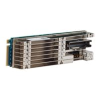 Broadcom MegaRAID 9524-8i - Kontrollerkort (RAID) - 8 Kanal
