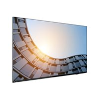 Lenovo ThinkVision E65 LFD - 65" Diagonal klass (64.5"
