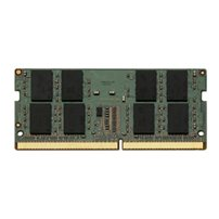 Panasonic - DDR4 - modul - 16 GB