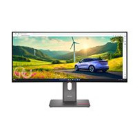 Lenovo ThinkVision P34WD-40 - LED-skärm - böjd - 34" - 3440